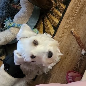 Meet your Posher, Maria